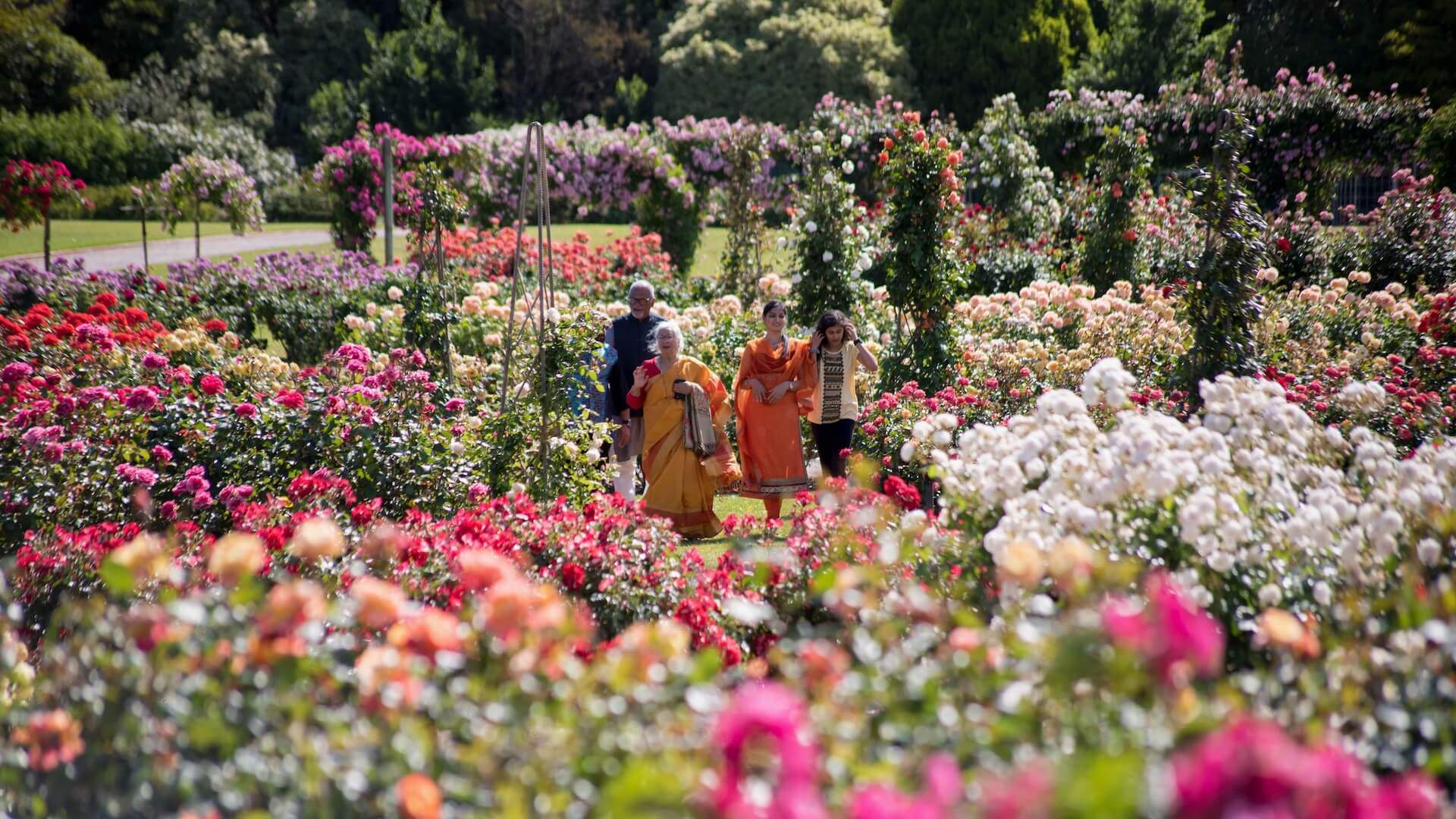 Victoria State Rose and Garden Show