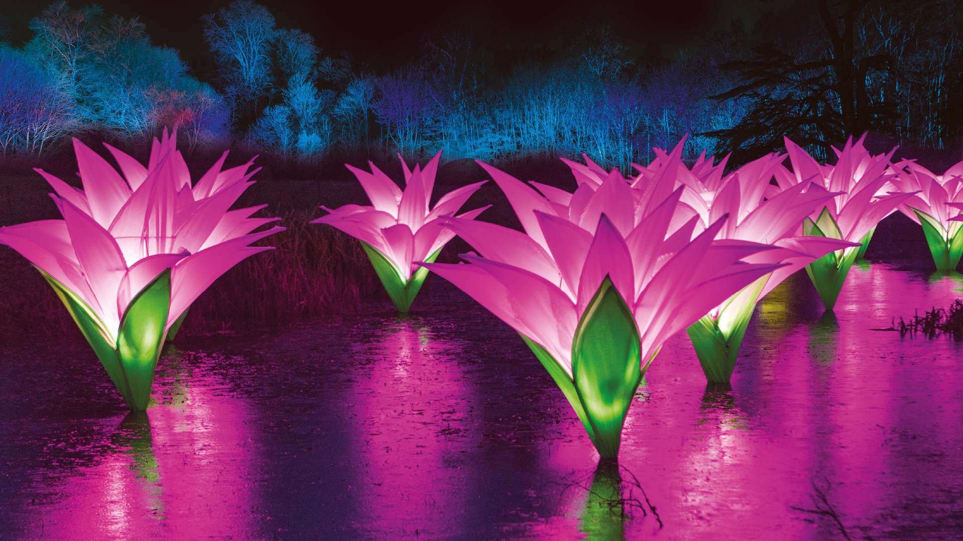After-Dark Light Festival Lightscape Will Brighten Up the Brisbane City Botanic Gardens This Spring