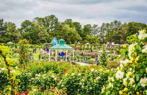 State Rose and Garden Show 2022