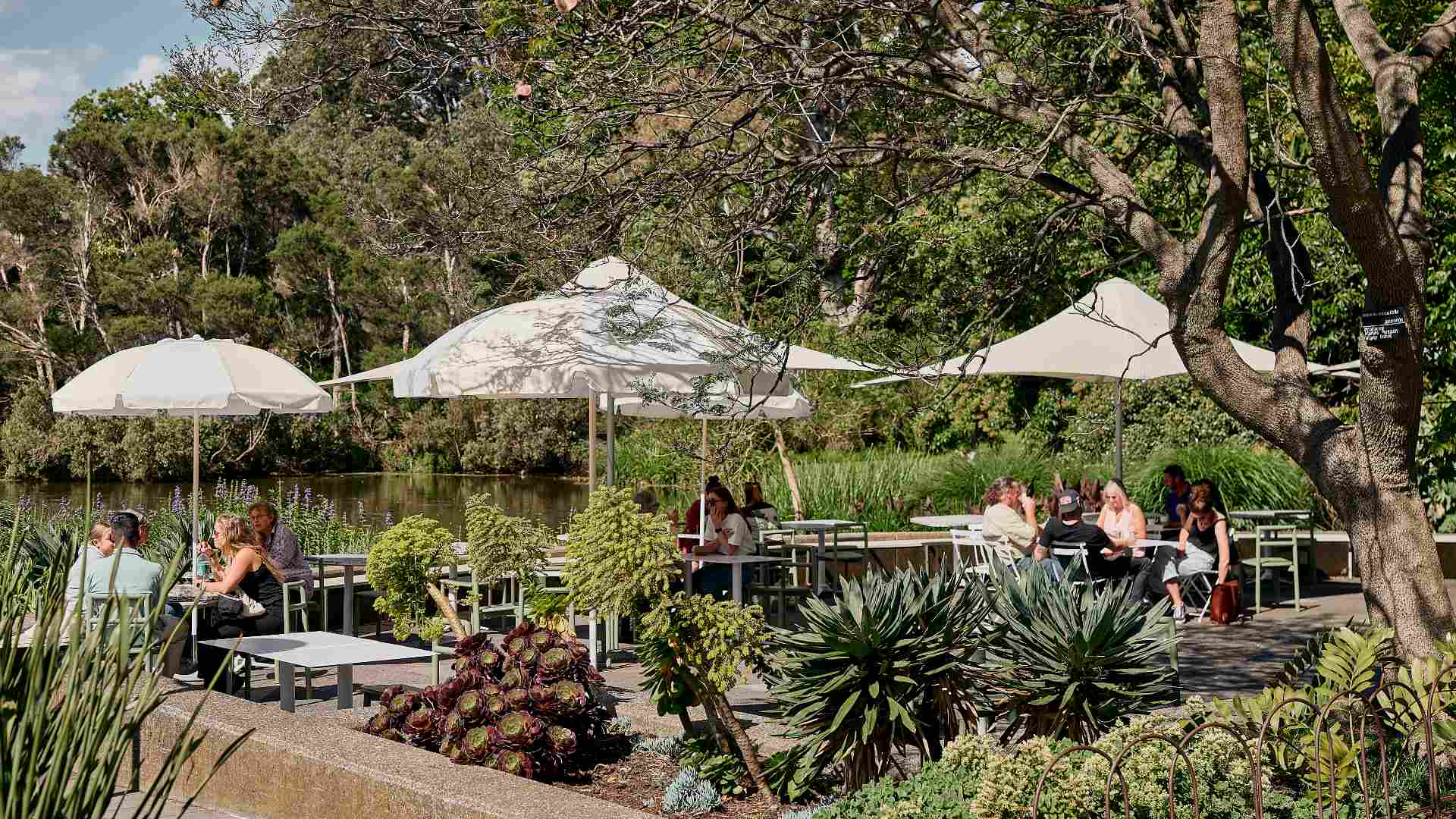 The Royal Botanic Gardens' Newly Transformed Cafe and Events Space Opens This Weekend