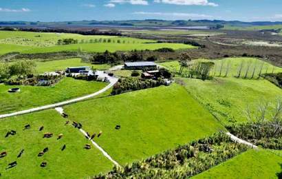 Background image for This 340-Acre Patch of Farmland North of Auckland Is Being Turned Into a Giant Festival Venue