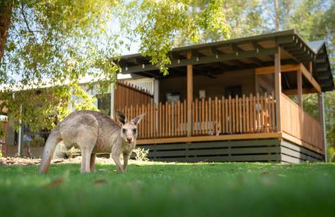 Australia Zoo Has Expanded Its Overnight Stays Among the Animals with New One-Bedroom Cabins