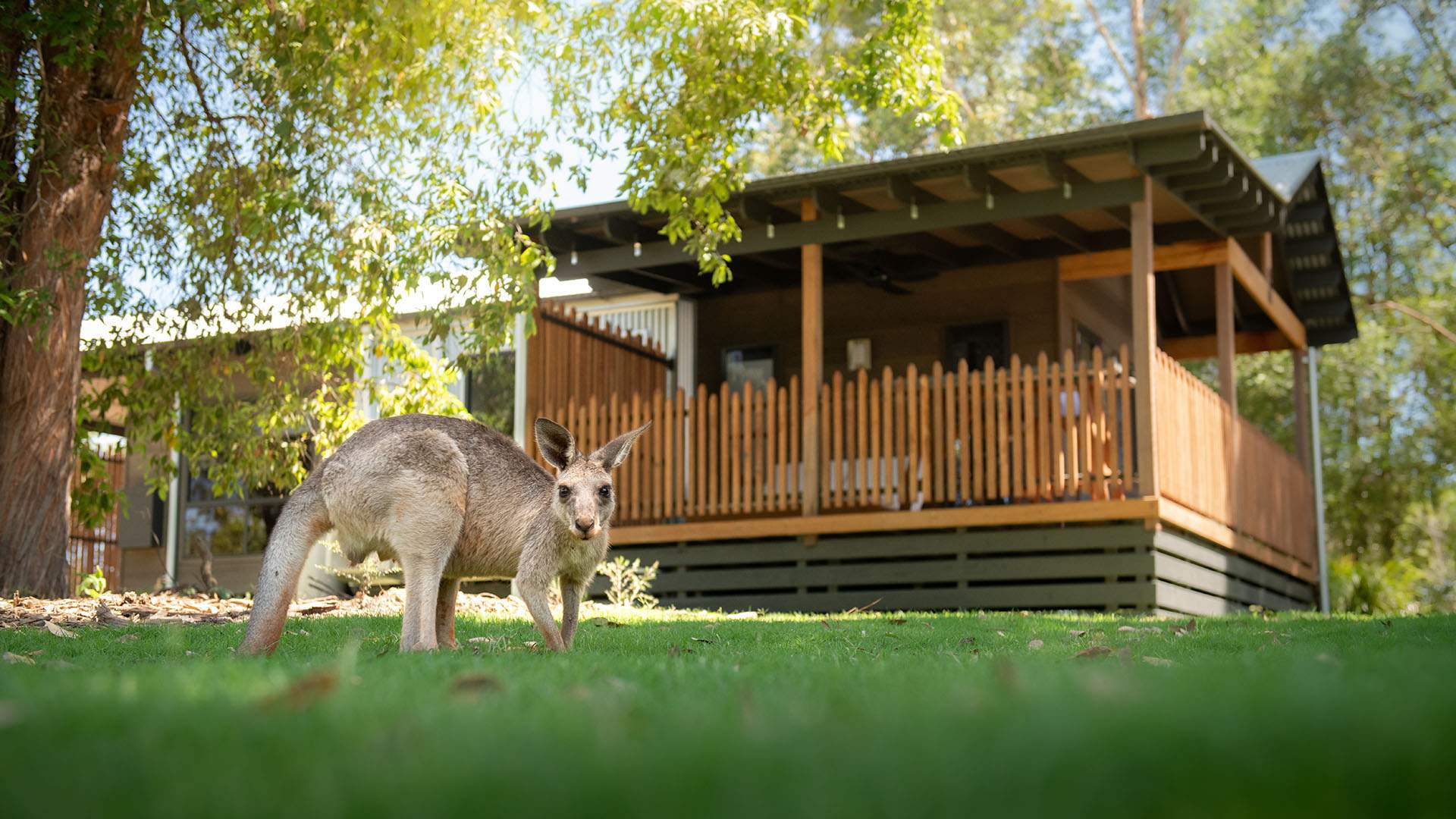 Australia Zoo Has Expanded Its Overnight Stays Among the Animals with New One-Bedroom Cabins