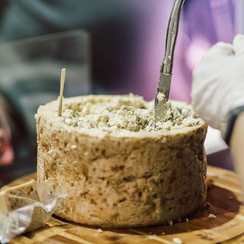 Mould — A Cheese Festival