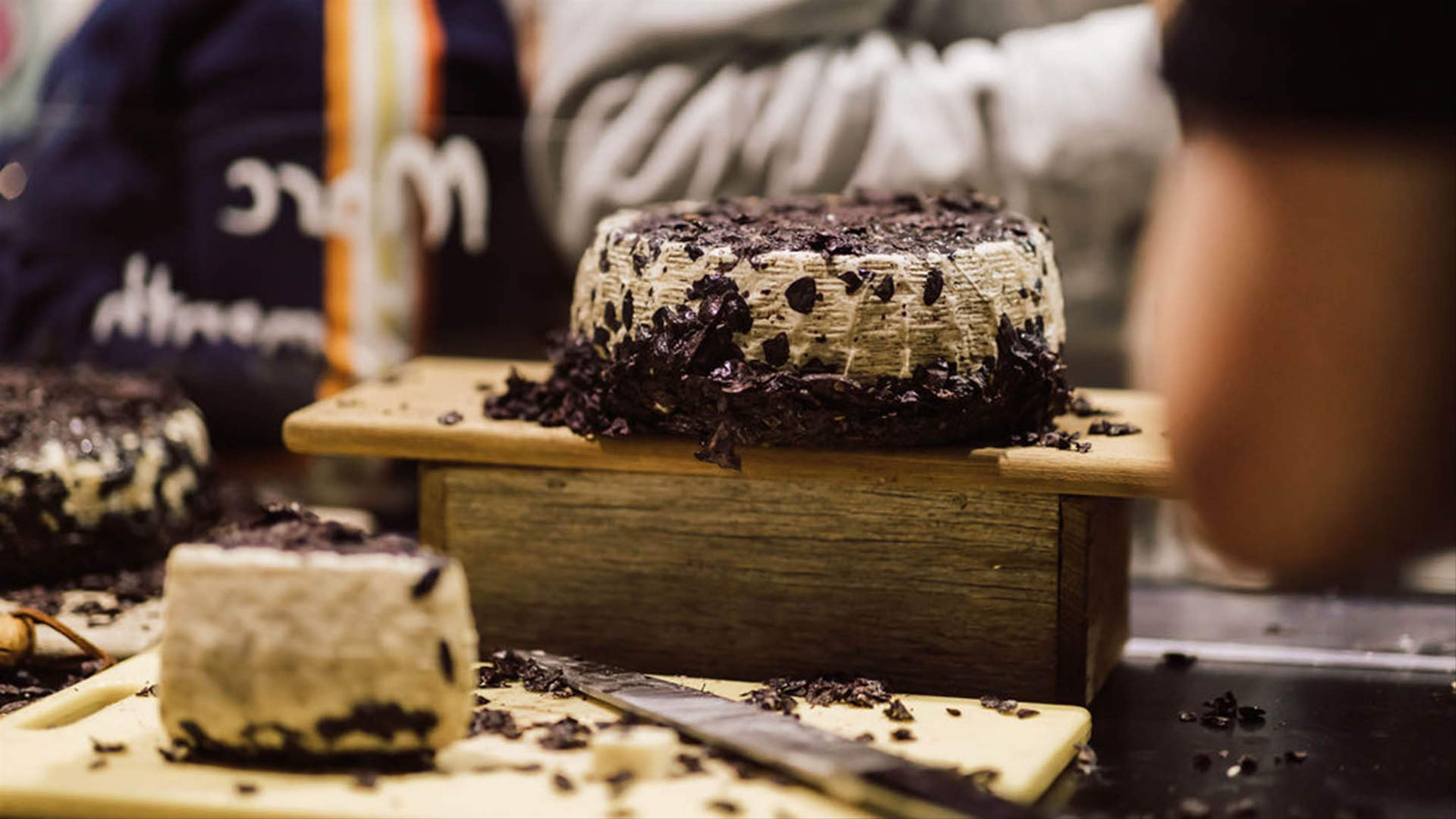 Mould — A Cheese Festival 2023 Concrete Playground