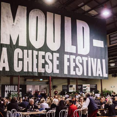 Mould — A Cheese Festival