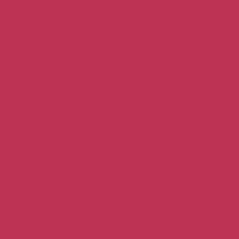 Viva Magenta Is Pantone's 