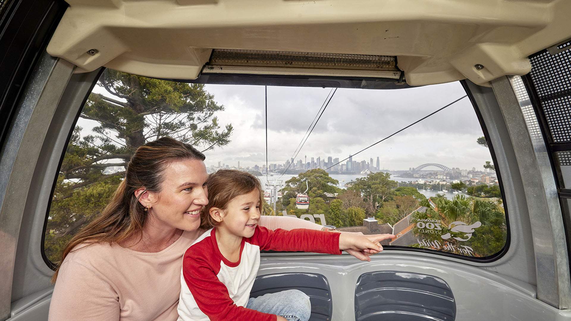 sky safari cable car ride