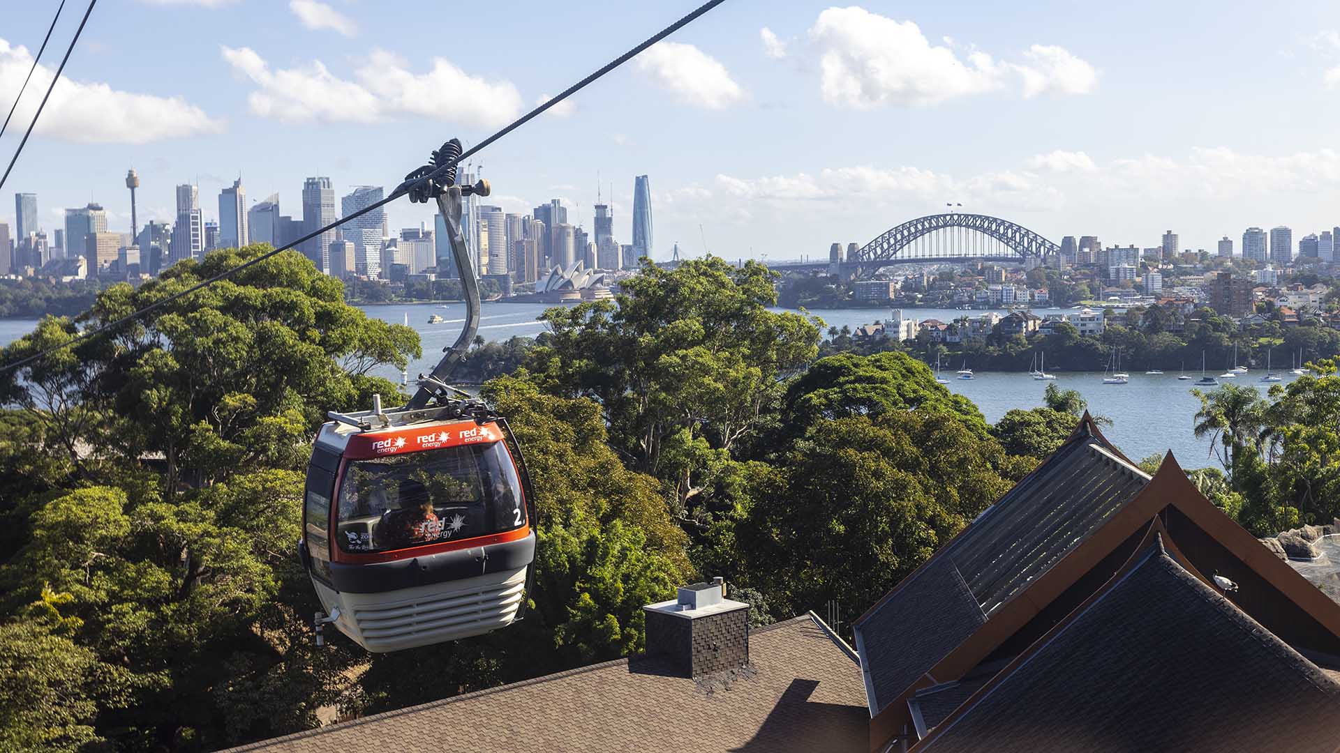 Taronga Zoo's Sky Safari Cable Car Is Retiring After 35 Years, Then Getting a Huge Upgrade