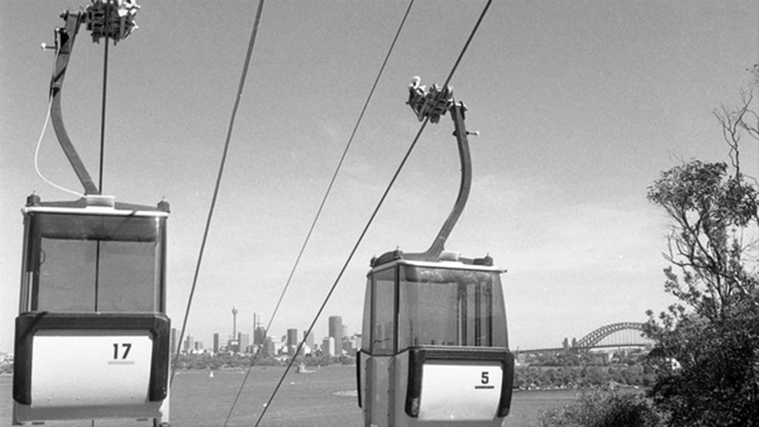 Taronga Zoo's Sky Safari Cable Car Is Retiring After 35 Years, Then