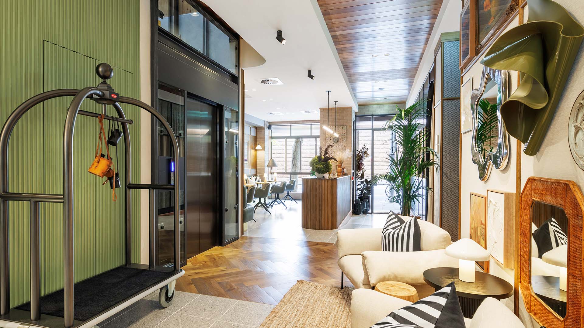202 Elizabeth Is Sydney’s Luxurious New Canine-Pleasant Resort That is Simply Opened in Surry Hills