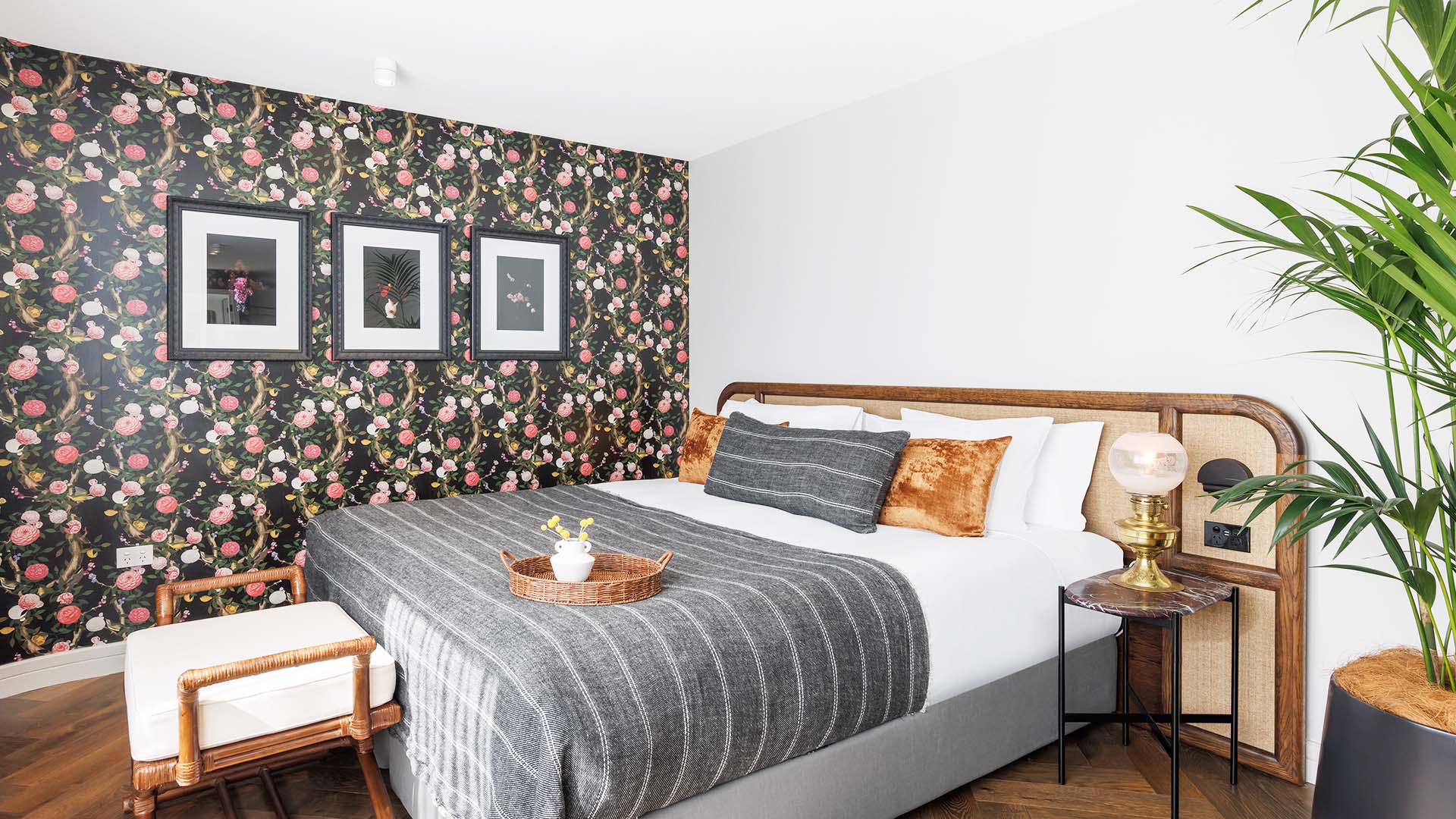 202 Elizabeth Is Sydney's Luxurious New Dog-Friendly Hotel That's Just Opened in Surry Hills
