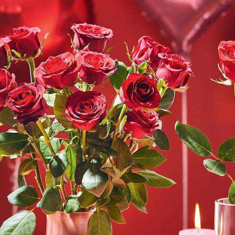 ALDI Is Doing a Dozen Roses and a Bottle of Rosé for $30 If You Need a Last-Minute Valentine's Day Gift