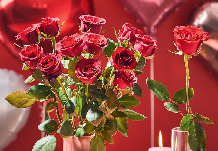 Background image for ALDI Is Doing a Dozen Roses and a Bottle of Rosé for $30 If You Need a Last-Minute Valentine's Day Gift