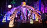 Lit at Wyndham Park 2023