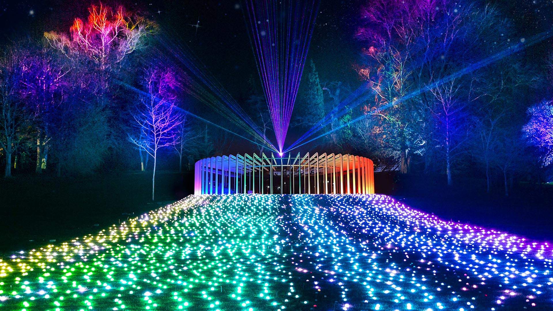 After-Dark Light Festival Lightscape Will Brighten Up the Royal Botanic Garden Sydney This Winter