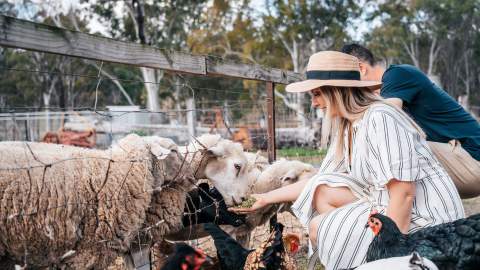 Scenic Rim Farm Gate Trail