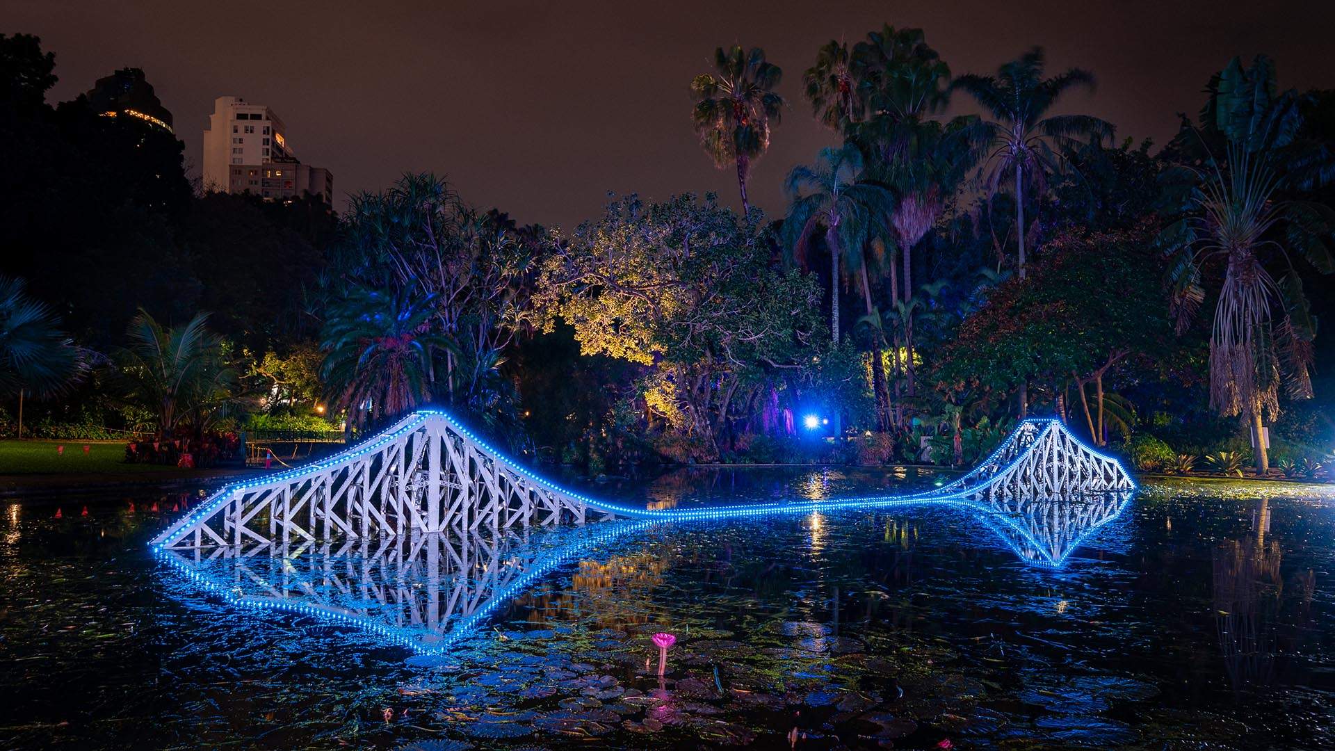 Brisbane's Glowing After-Dark Festival Botanica Will Light Up the City Botanic Gardens Again in May