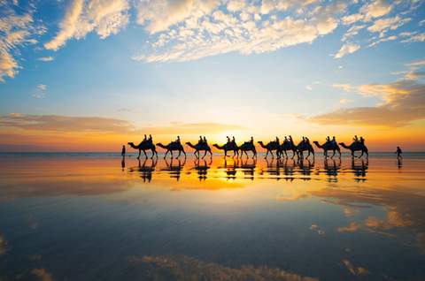 Sunset Camel Ride on Cable Beach