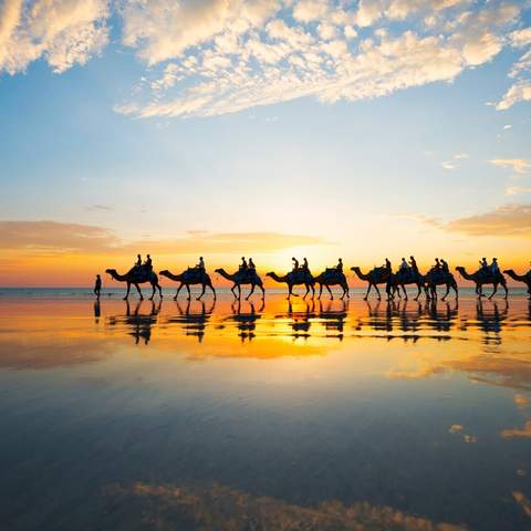 Sunset Camel Ride on Cable Beach