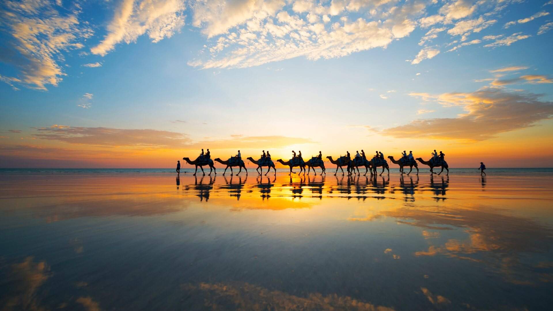Sunset Camel Ride on Cable Beach