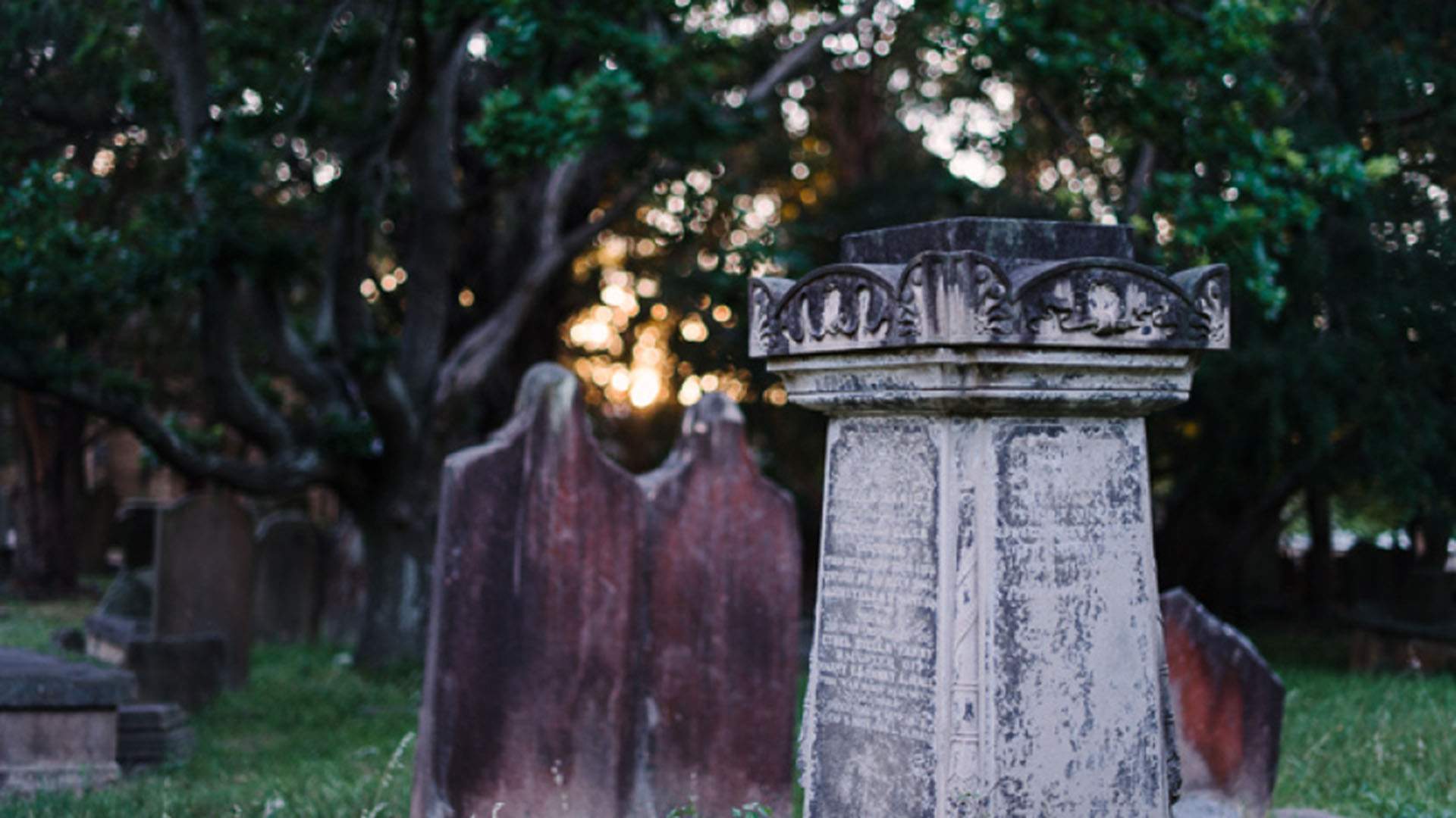 Camperdown Cemetery Is Turning Into a Cinema to Host an Eerie Screening of 'Beetlejuice'