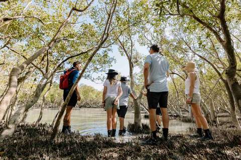 Roebuck Bay Mangrove Expedition