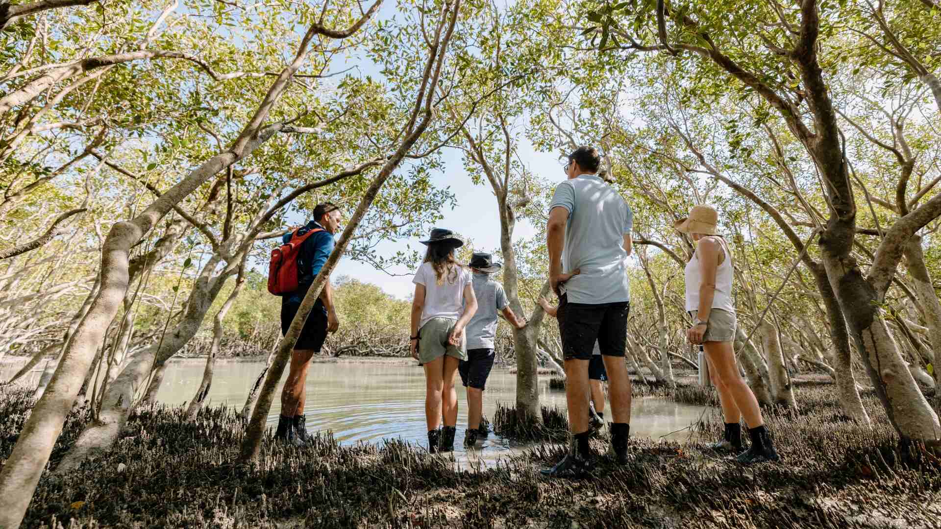 Roebuck Bay Mangrove Expedition