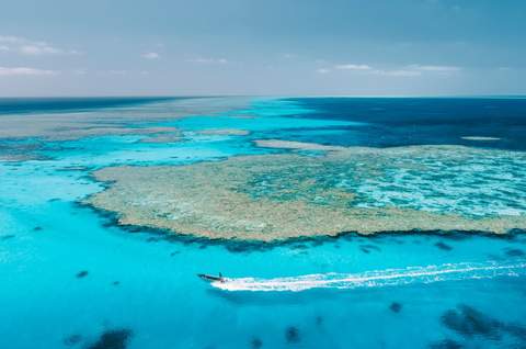 Rowley Shoals Boat Tours