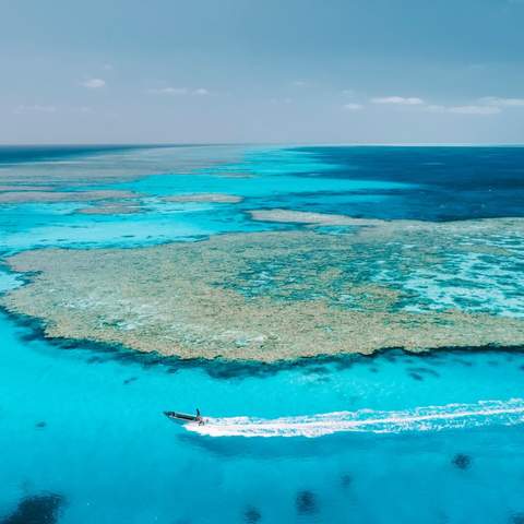 Rowley Shoals Boat Tours