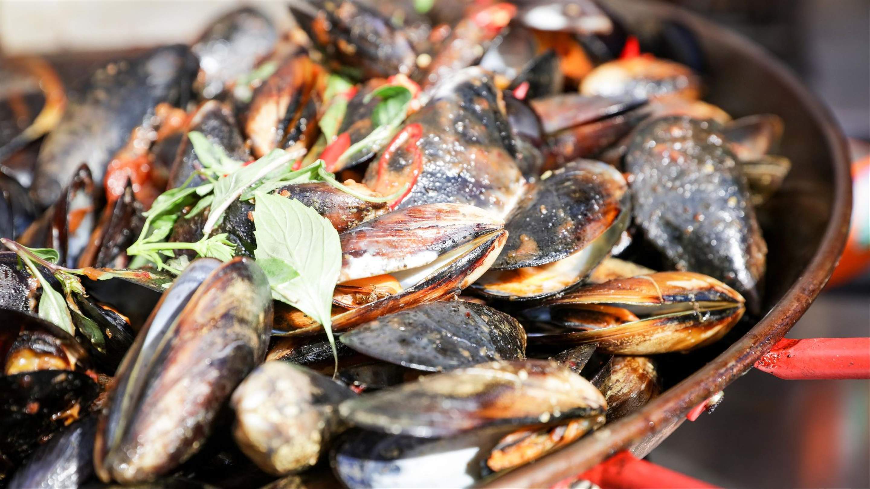 Port Phillip Mussel & Jazz Festival 2023 Concrete Playground