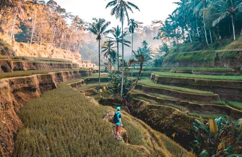 Get the Most Out of Your Trip to Bali by Booking One of These Unique Travel Experiences and Tours