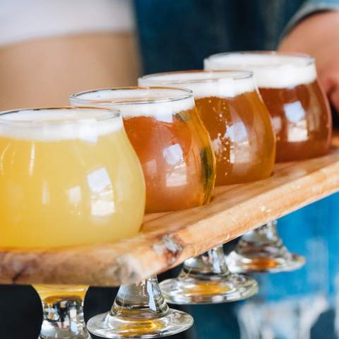 A flight of beers at Sauce Brewing Co in Marrickville, Sydney.