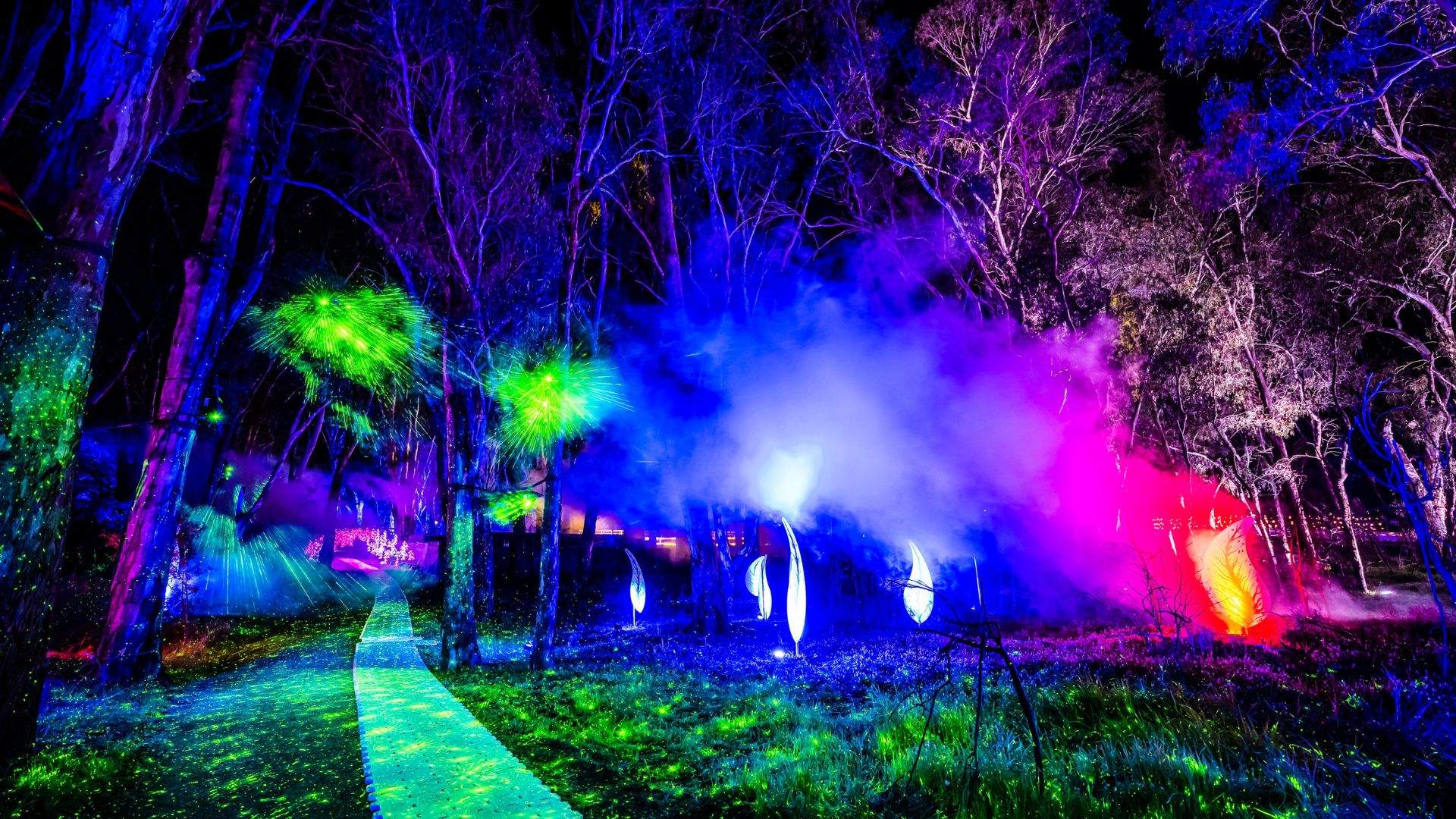 Regional Arts Festival Moama Lights Is Returning for 2023 to Illuminate the Murray River