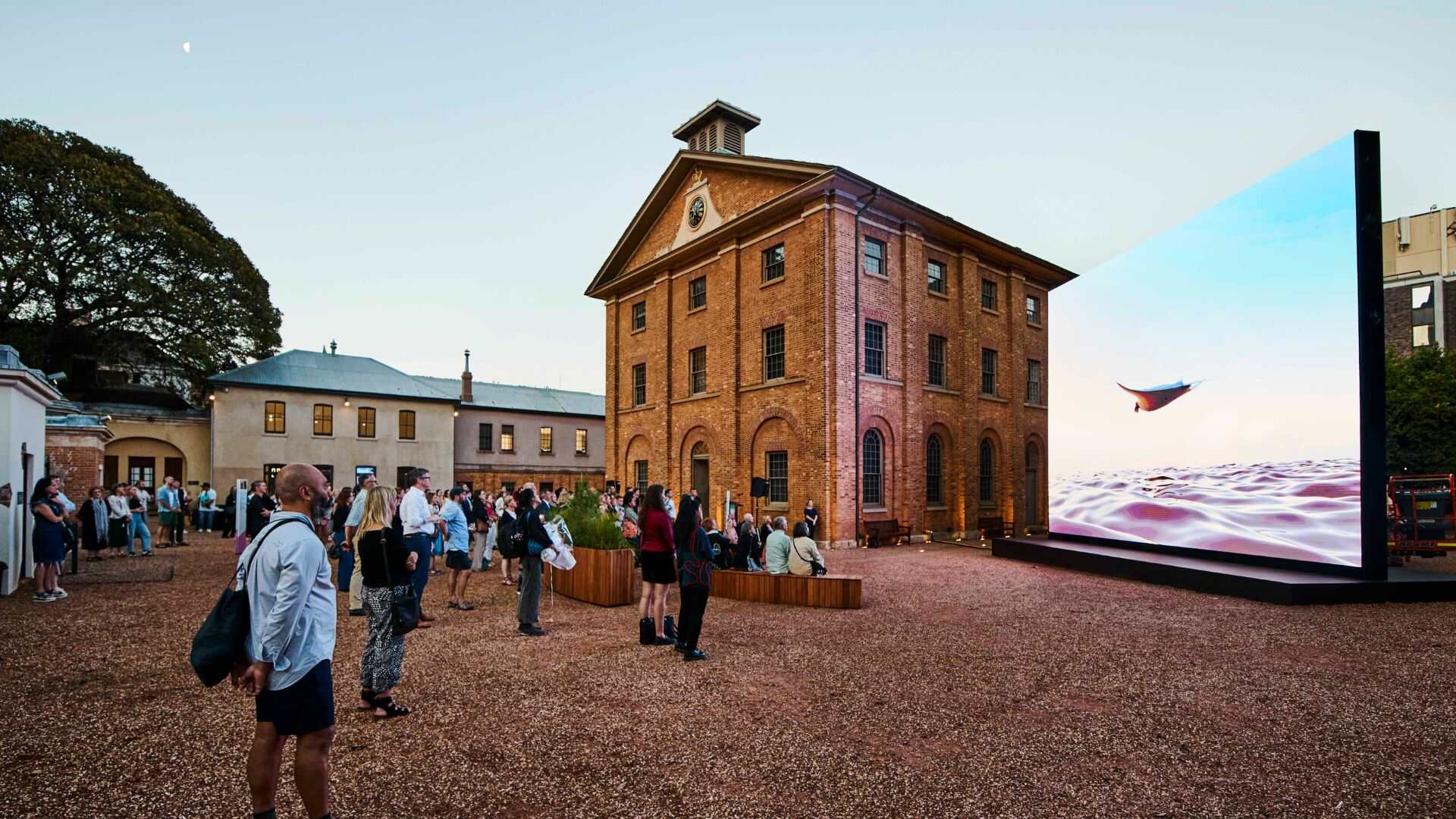 Murmurations at Hyde Park Barracks