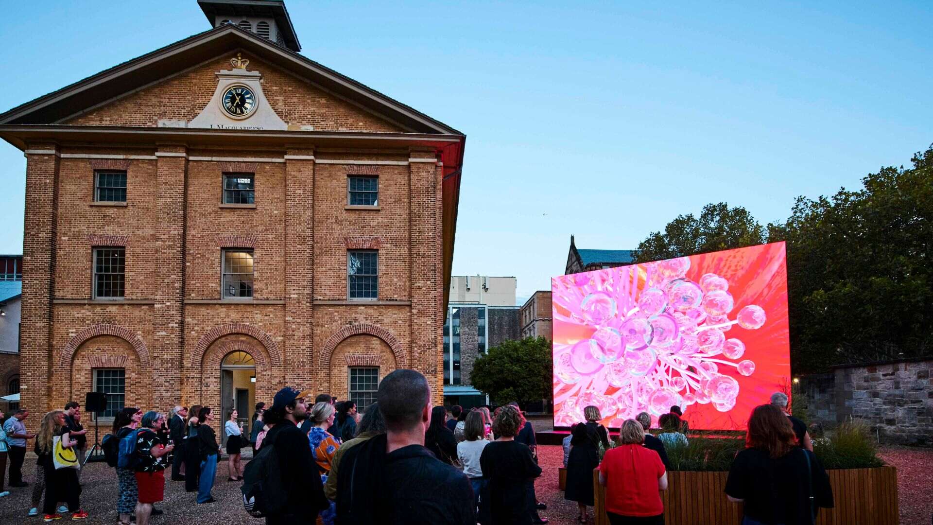 Murmurations at Hyde Park Barracks