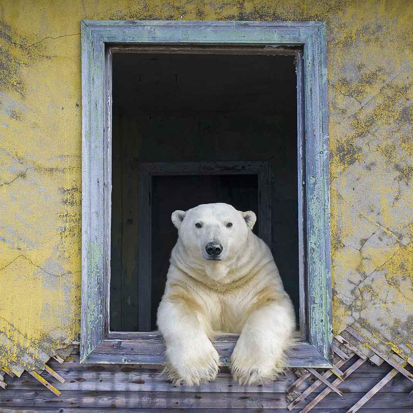 Wildlife Photographer of the Year 2023, Sydney