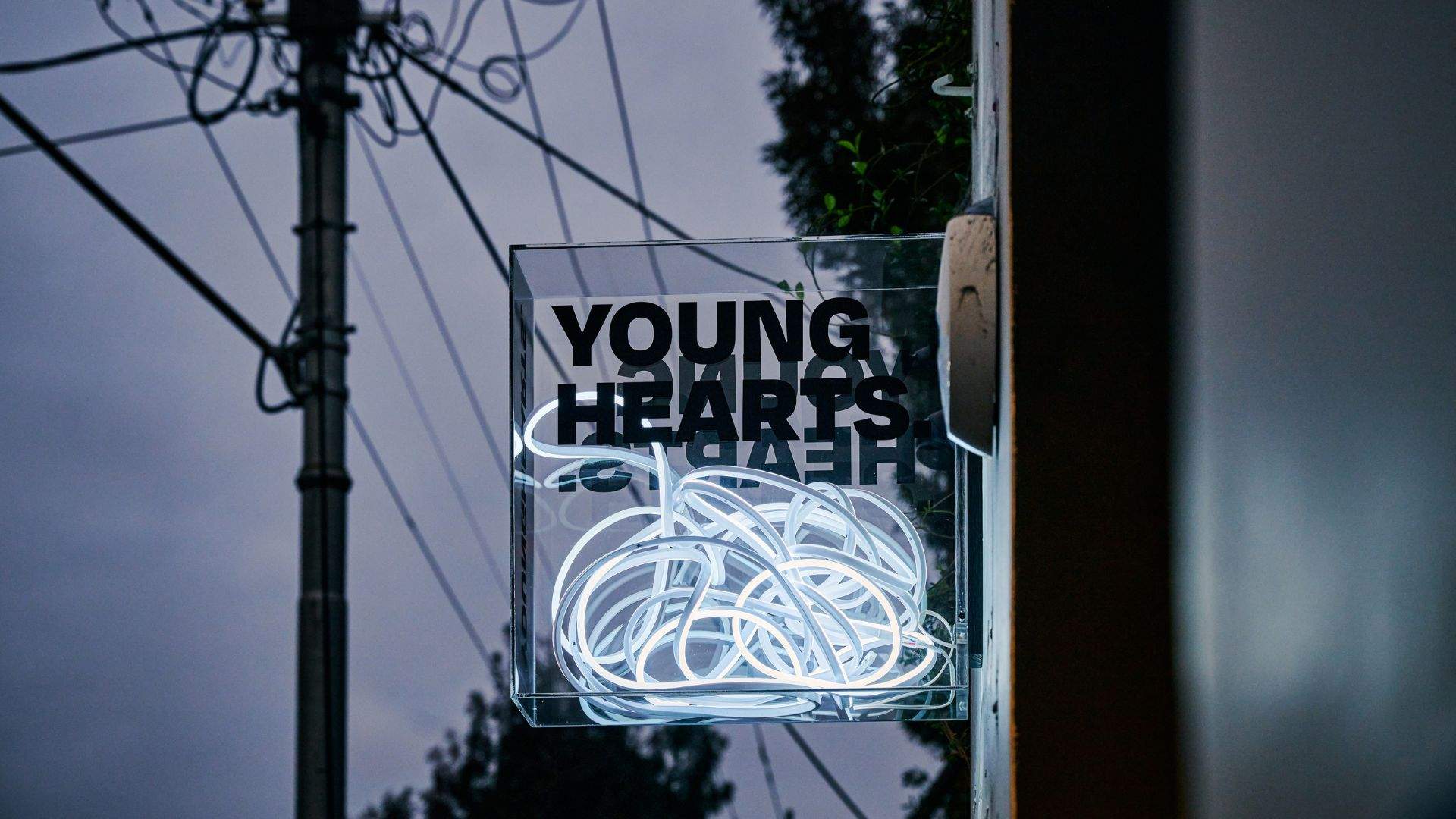 Now Open: Young Hearts Has Brought an Ever-Evolving Offering of Eats, Drinks and Tunes to Windsor