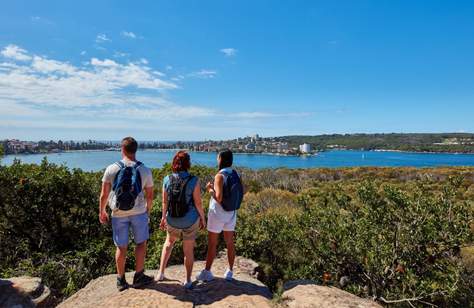 Views and Lookouts That Handsomely Reward the Effort of the Climb