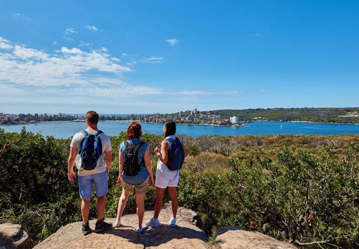 Background image for Views and Lookouts That Handsomely Reward the Effort of the Climb