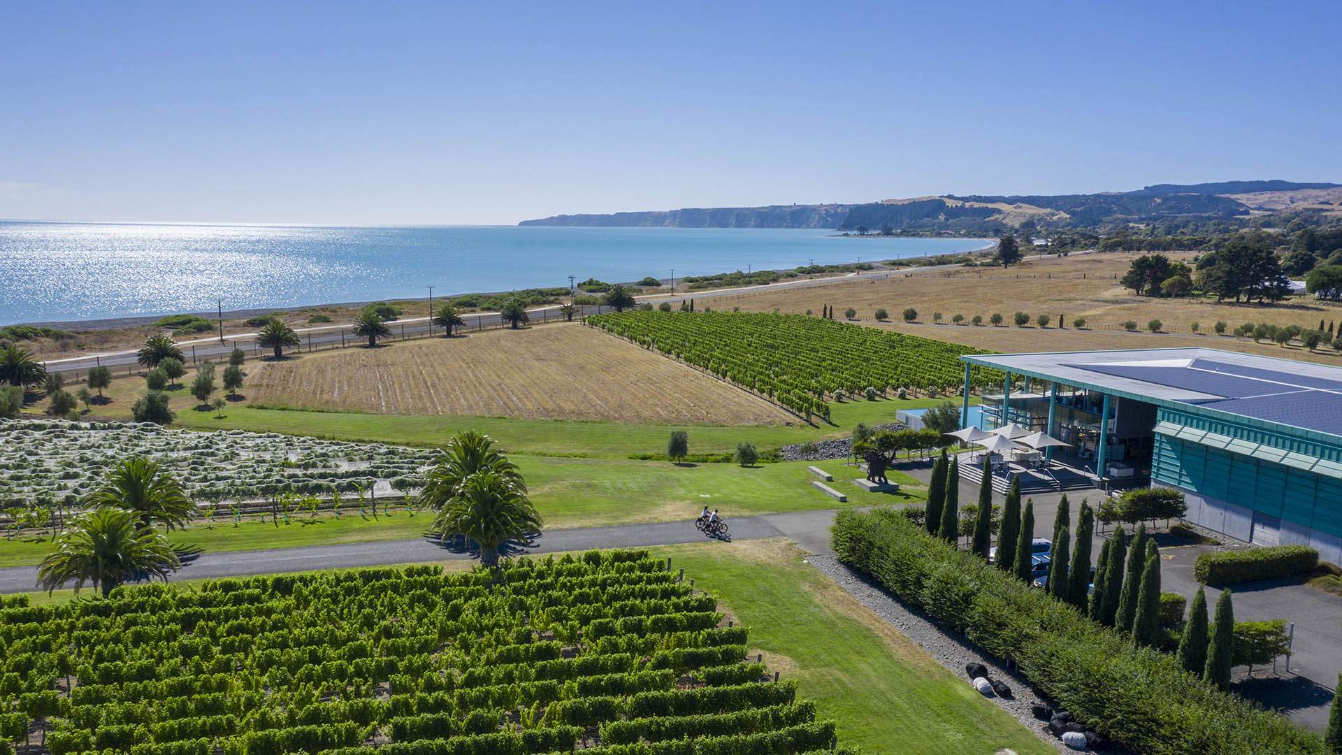 Hawke's Bay Has Just Been Named the 12th Great Wine Capital of the World