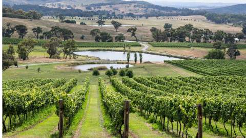 Mayfield Vineyard Cottages