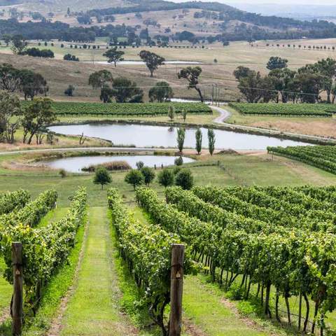 Mayfield Vineyard Cottages