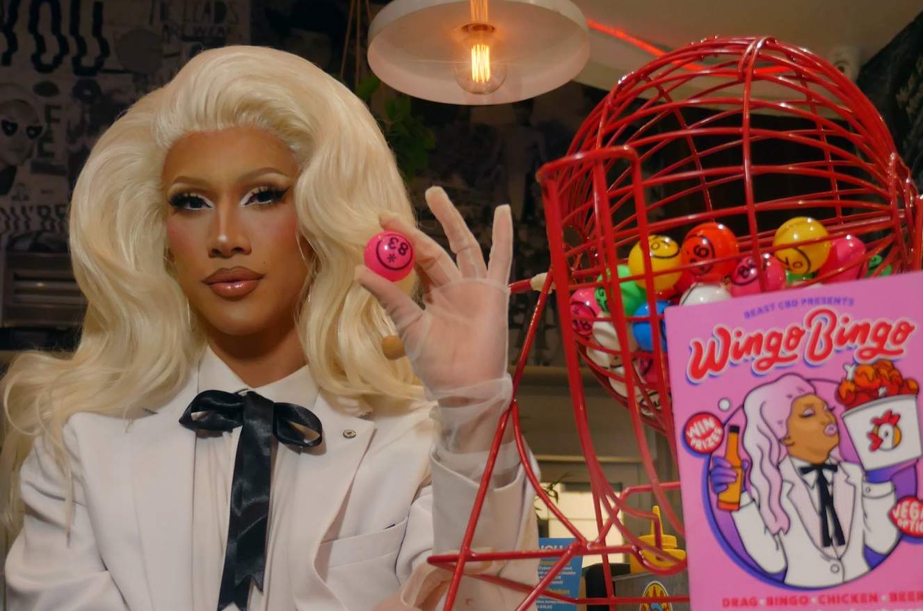 Wingo Bingo - Concrete Playground