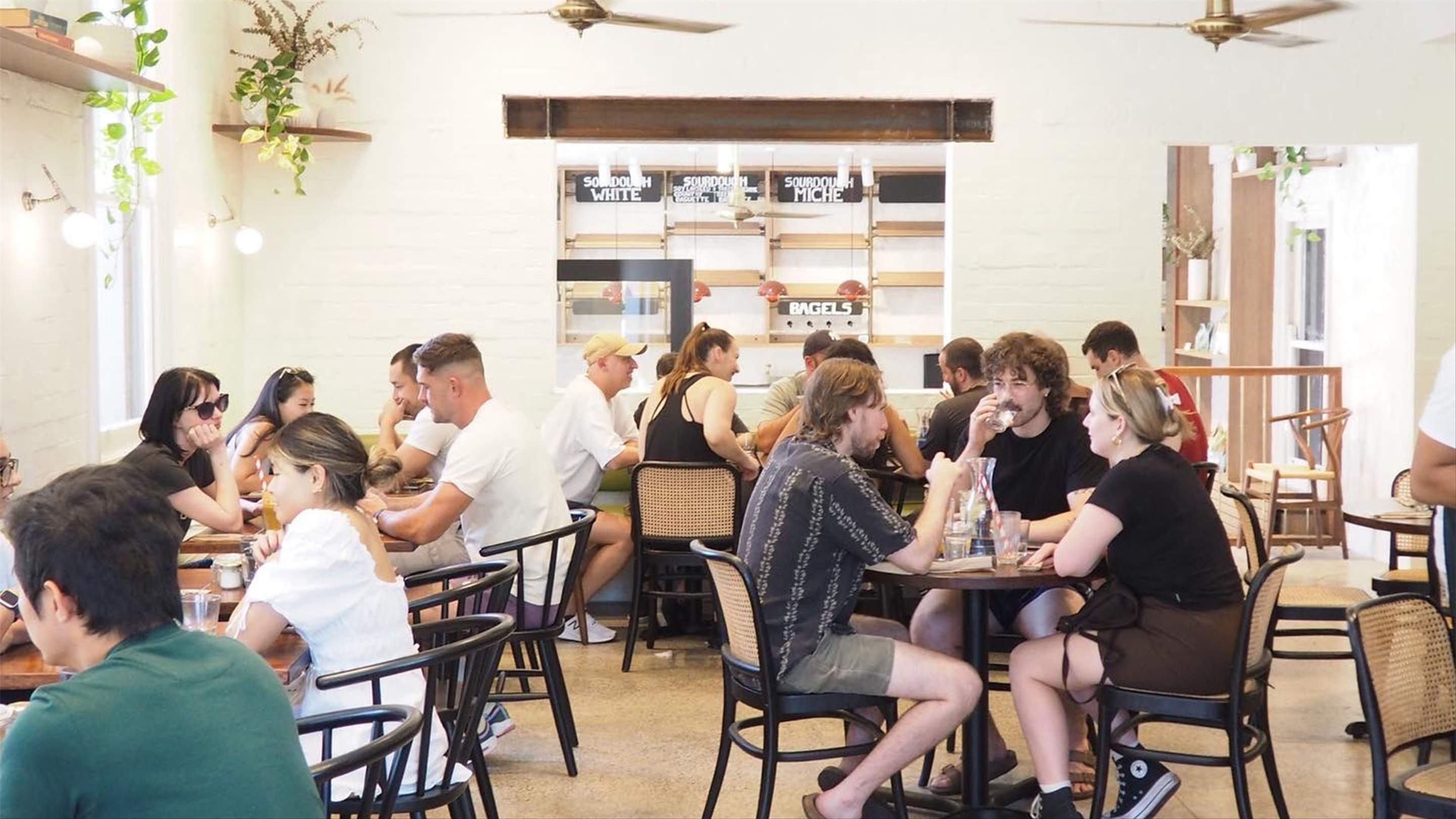 White Rabbit Marrickville, Marrickville Review