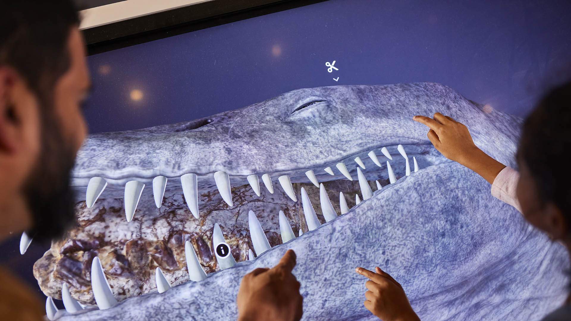 Queensland Museum Has Opened a New Permanent Dinosaur Gallery Filled with Fossils and Meteorites