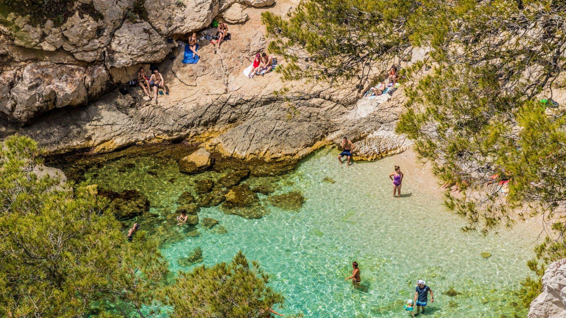 Snorkelling and Guided Dive in the Calanques National Park