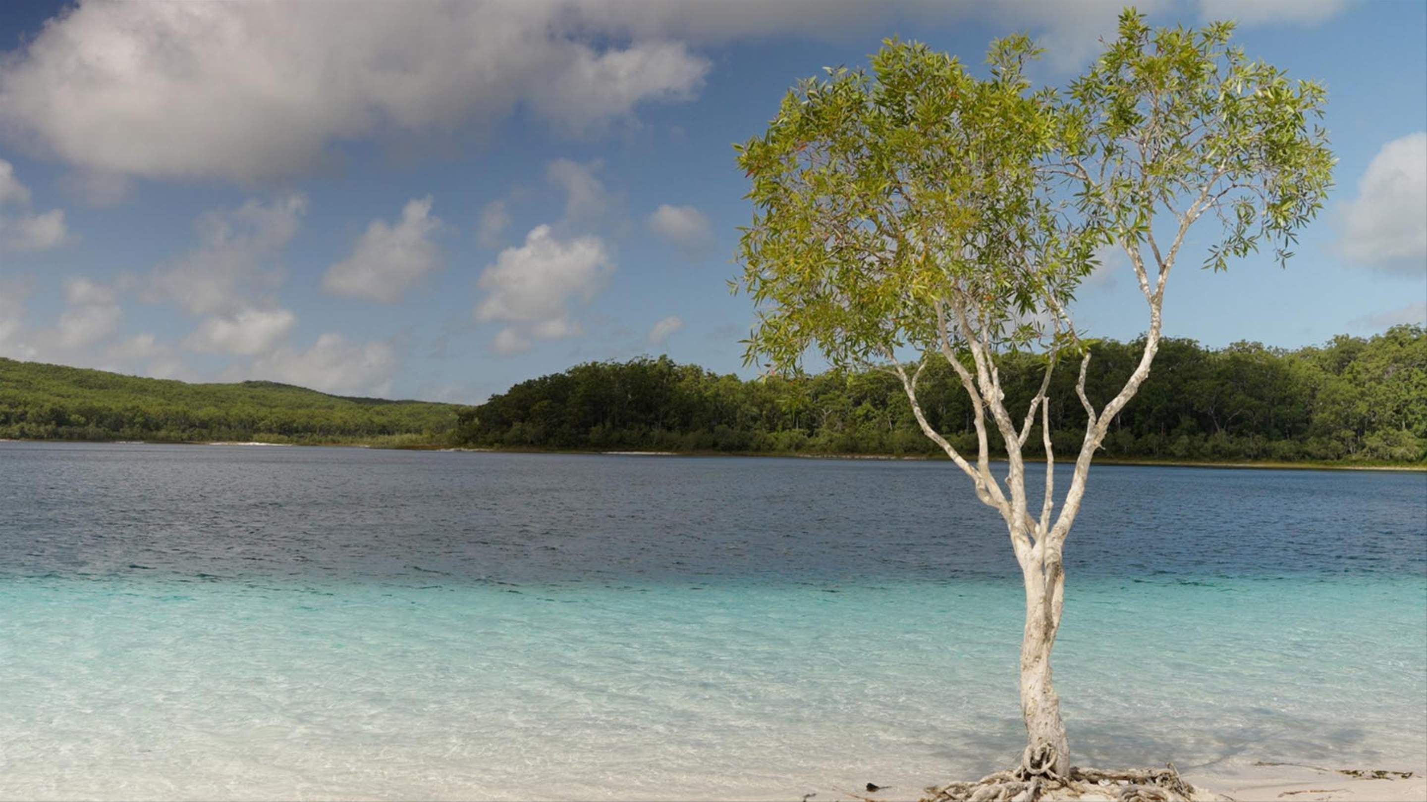 It's Official: World Heritage-Listed Island K'gari Has Reclaimed Its ...