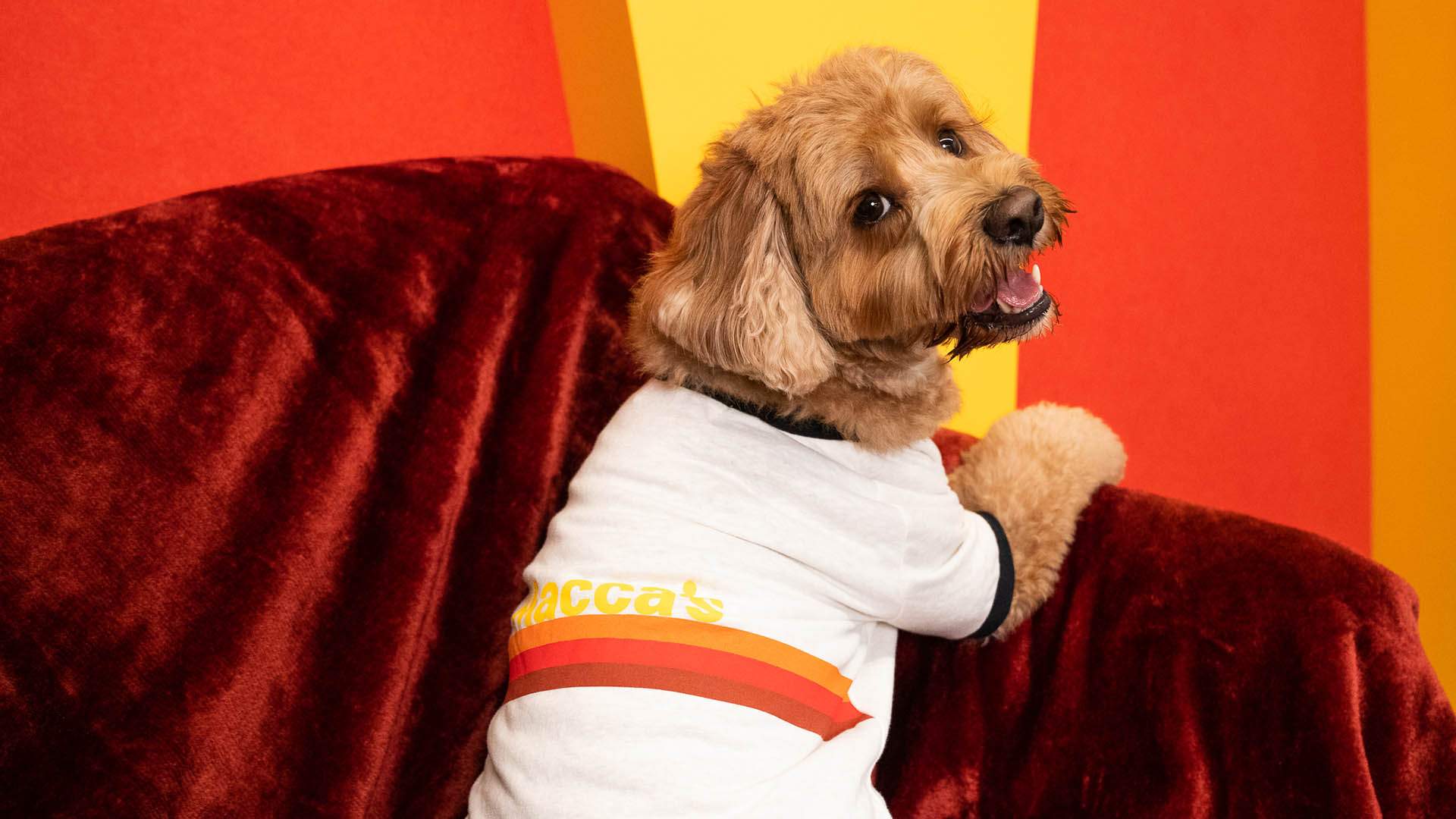 McDonald's and Peter Alexander Have Dropped a New Range of Burger-Worshipping PJs — Including for Dogs