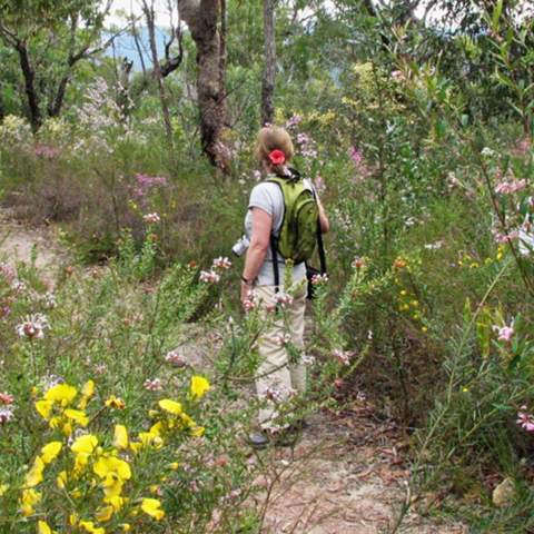 Muogamarra Nature Reserve Open Season